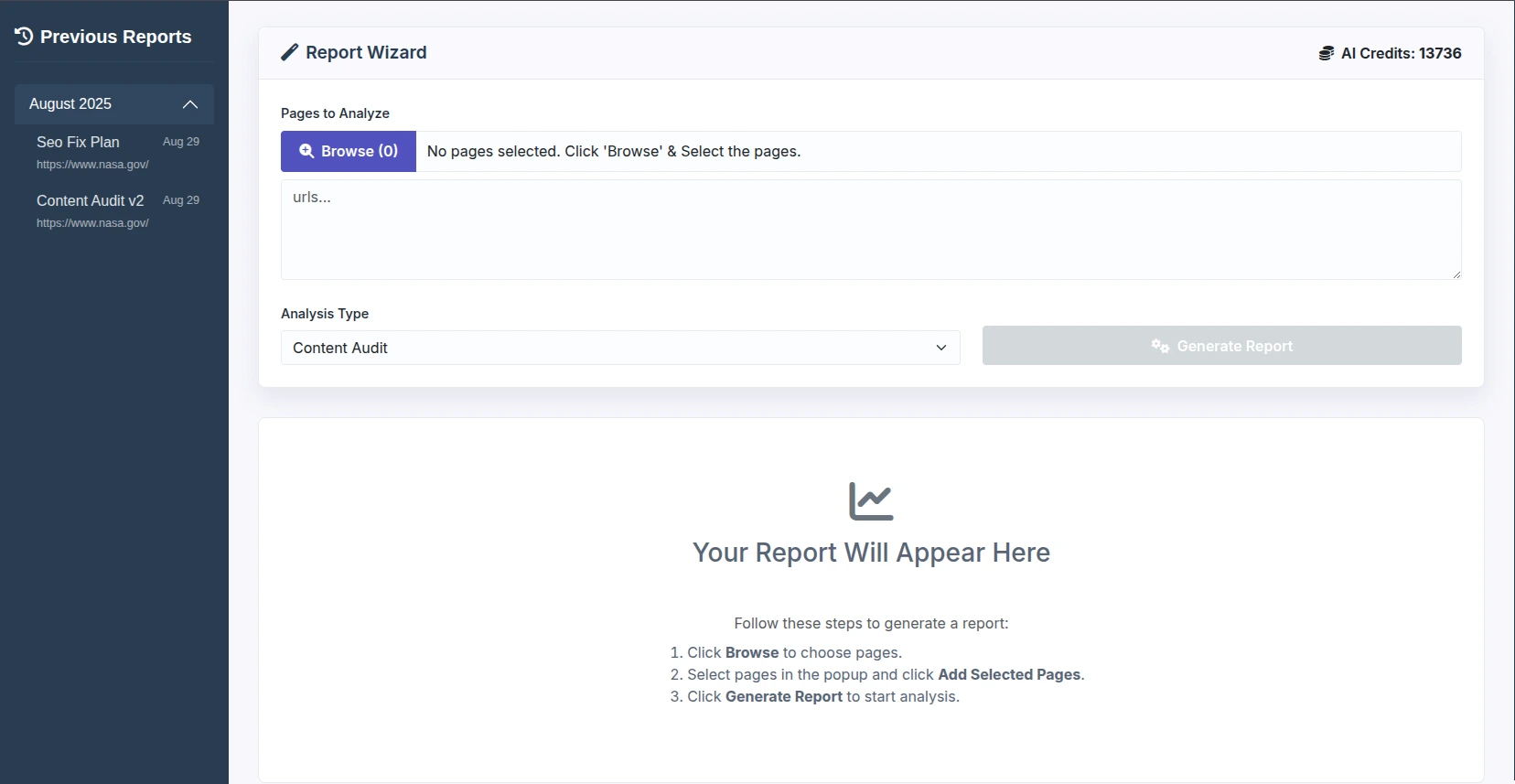 SEO Report Wizard Dashboard Interface